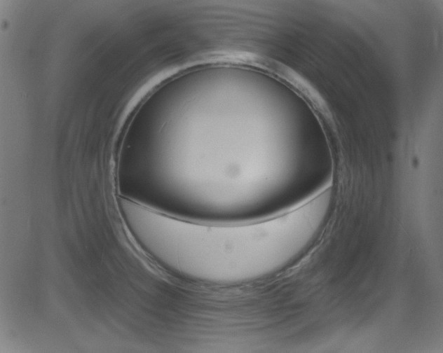 X0000081481332200701121031