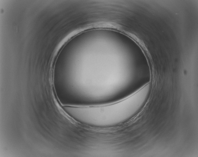 X0000081481342200701121031