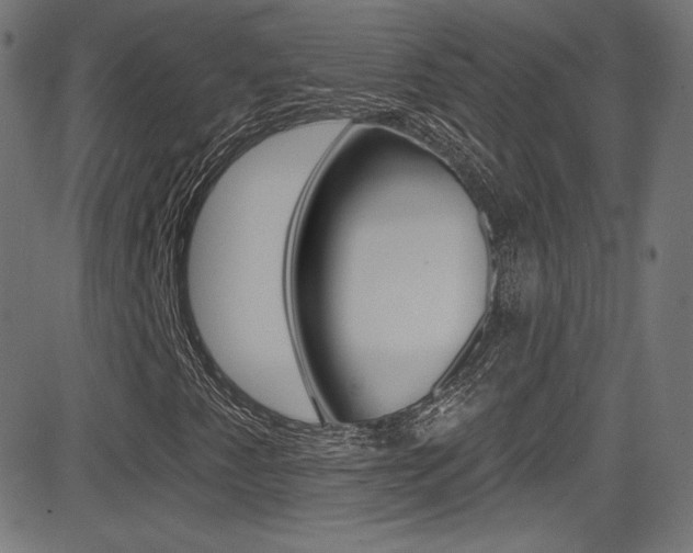 X0000081481345200701121030