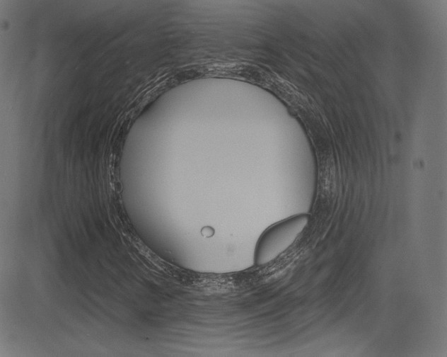 X0000081481346200701121030
