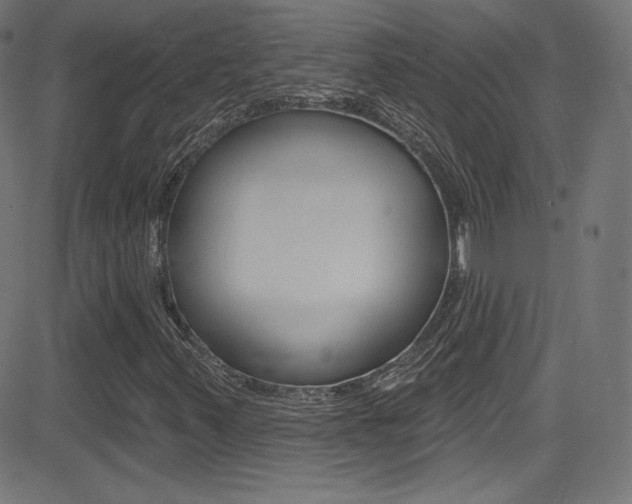 X0000081481347200701121030