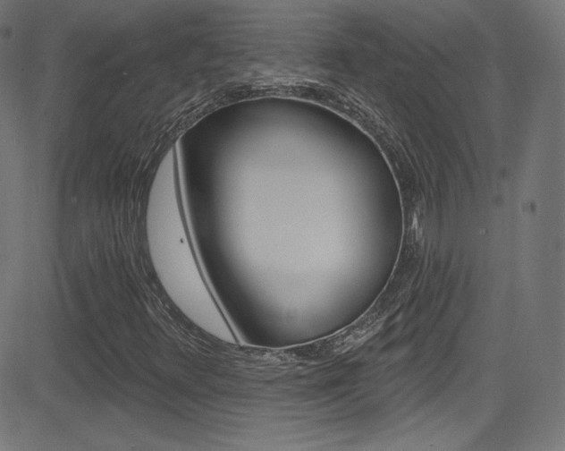 X0000081481348200701121030