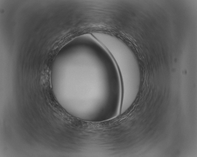 X0000081481349200701121030