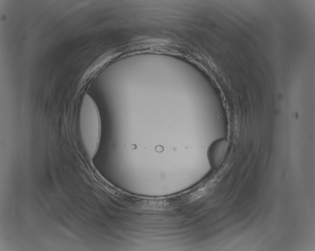 X0000081481354200701121030
