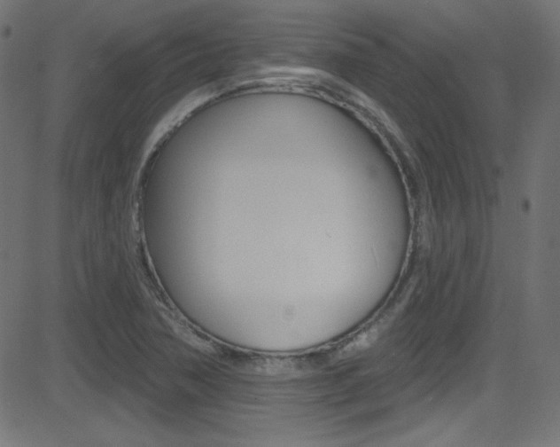 X0000081481362200701121030