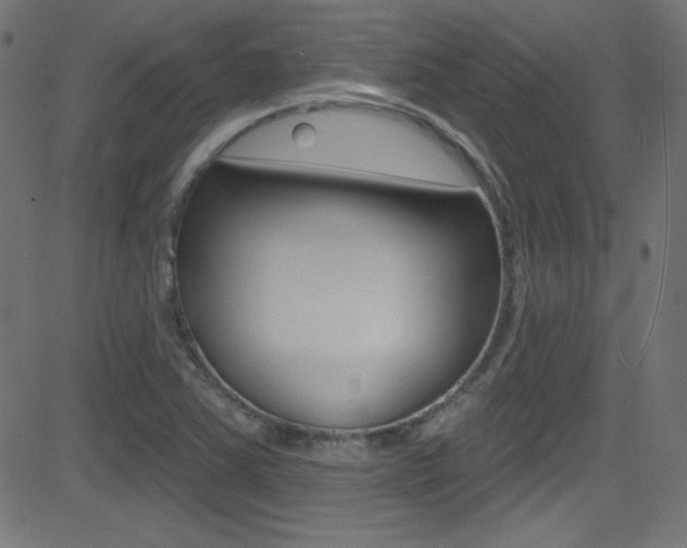 X0000081481363200701121030