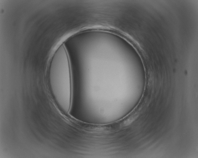 X0000081481367200701121030