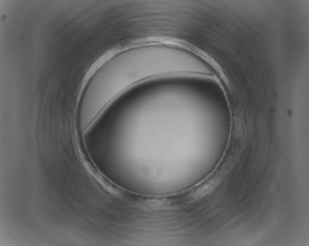 X0000081481373200701121030