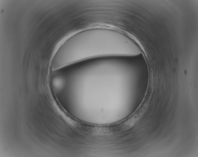 X0000081481379200701121030