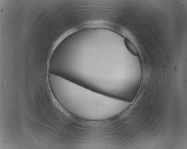 X0000081481386200701121030