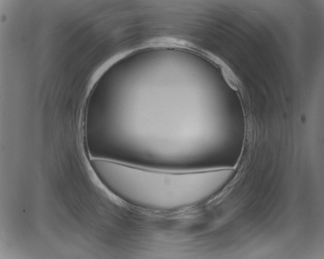 X0000081481387200701121030
