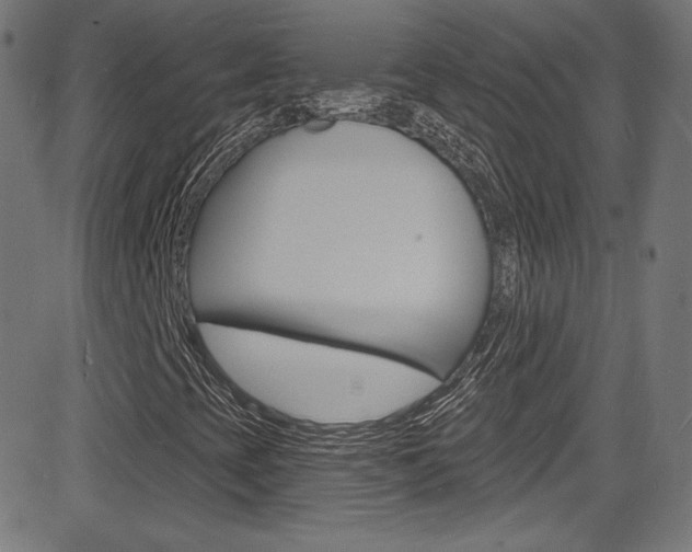 X0000081481393200701121029