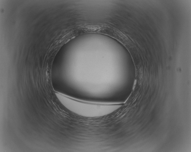 X0000081481394200701121029