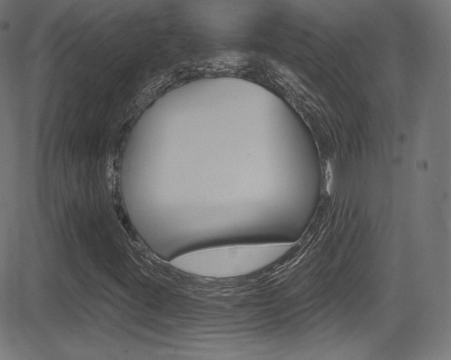 X0000081481395200701121029