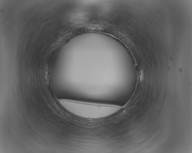 X0000081481396200701121029
