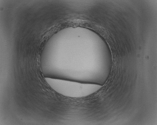 X0000081481397200701121029