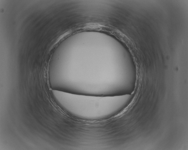 X0000081481401200701121029