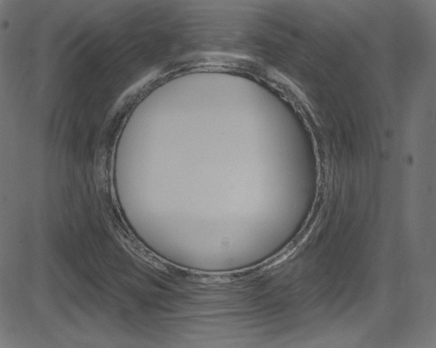 X0000081481403200701121029
