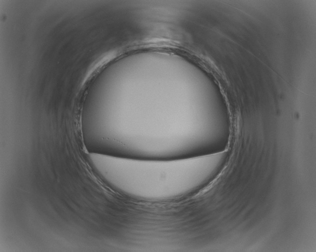 X0000081481405200701121029
