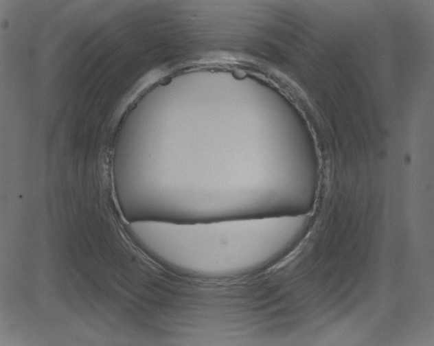 X0000081481409200701121029
