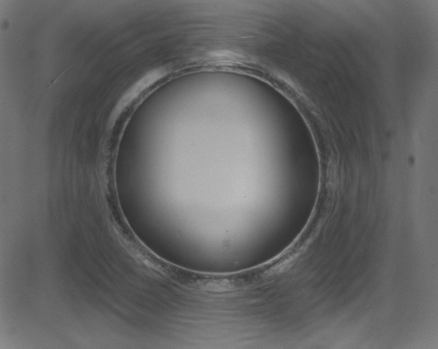X0000081481410200701121029
