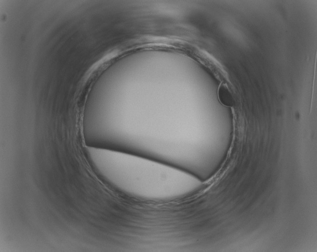 X0000081481411200701121029