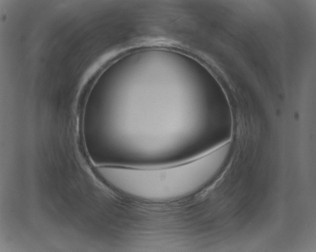 X0000081481414200701121029