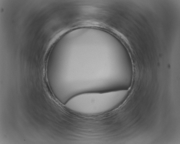 X0000081481415200701121029