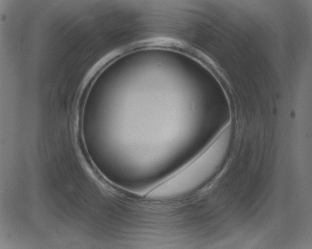 X0000081481418200701121029