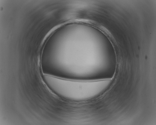X0000081481420200701121029