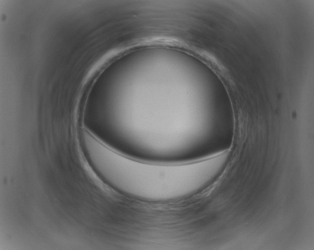 X0000081481422200701121029