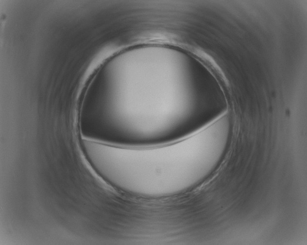 X0000081481424200701121029