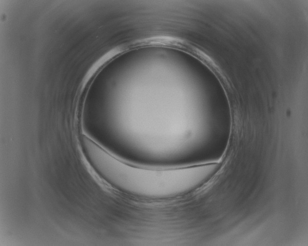 X0000081481426200701121029