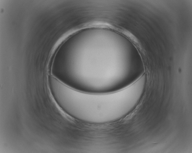 X0000081481430200701121029