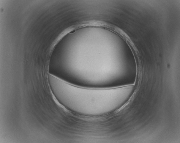 X0000081481433200701121030