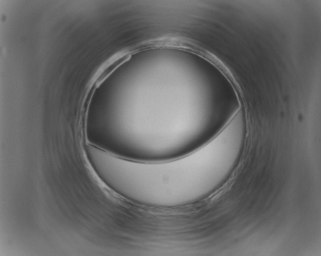 X0000081481434200701121030
