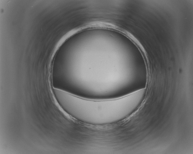 X0000081481437200701121030