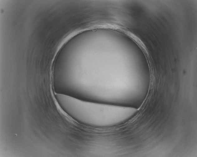 X0000081481439200701121030