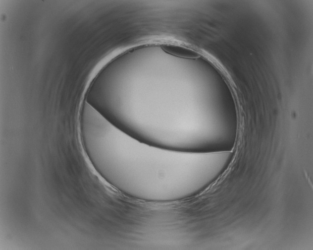 X0000081481440200701121030