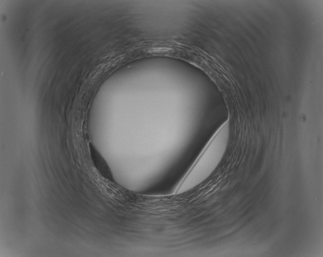 X0000081481441200701121029