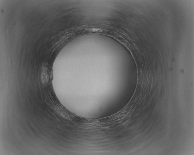 X0000081481442200701121029
