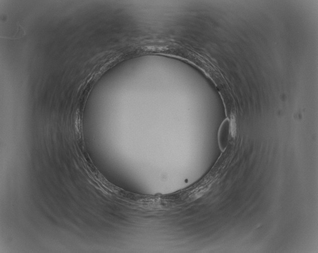 X0000081481444200701121029