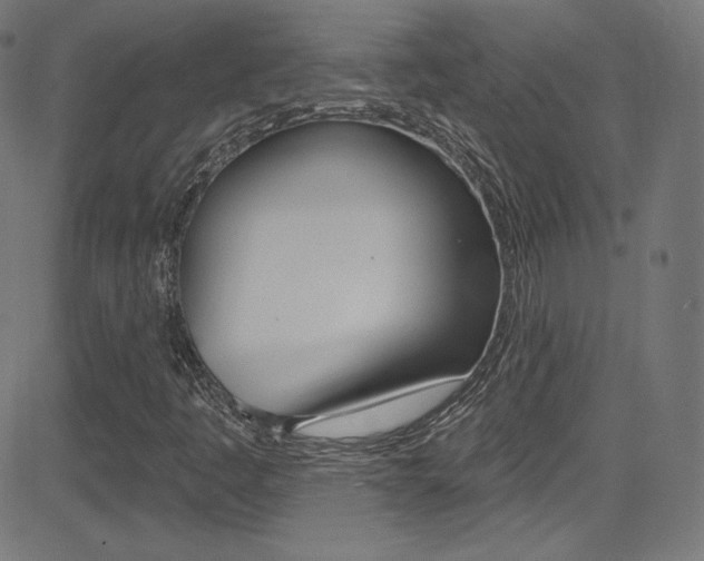 X0000081481445200701121029