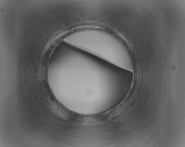 X0000081481448200701121029