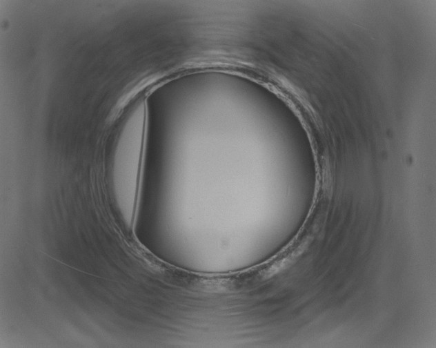 X0000081481453200701121029