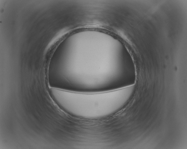 X0000081481456200701121029