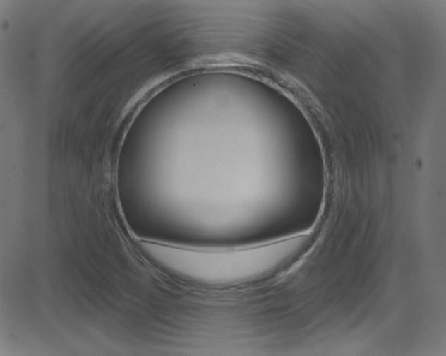 X0000081481457200701121029