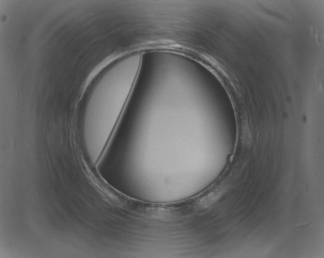 X0000081481458200701121029