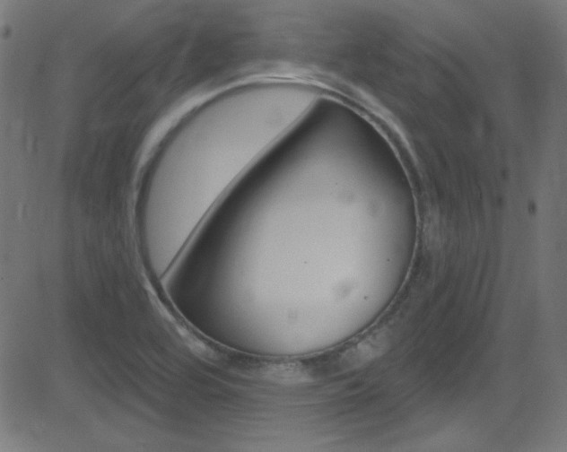X0000081481464200701121028