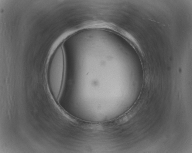 X0000081481472200701121028